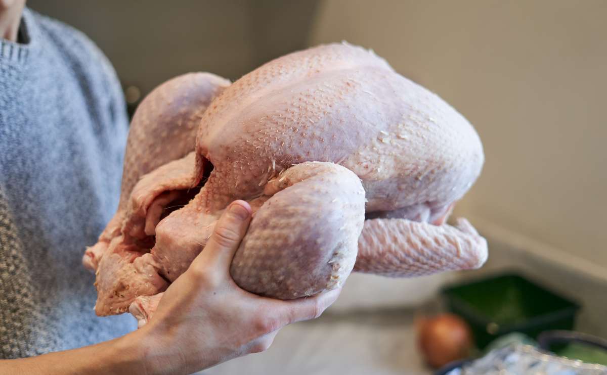 frozen whole turkey wholesale